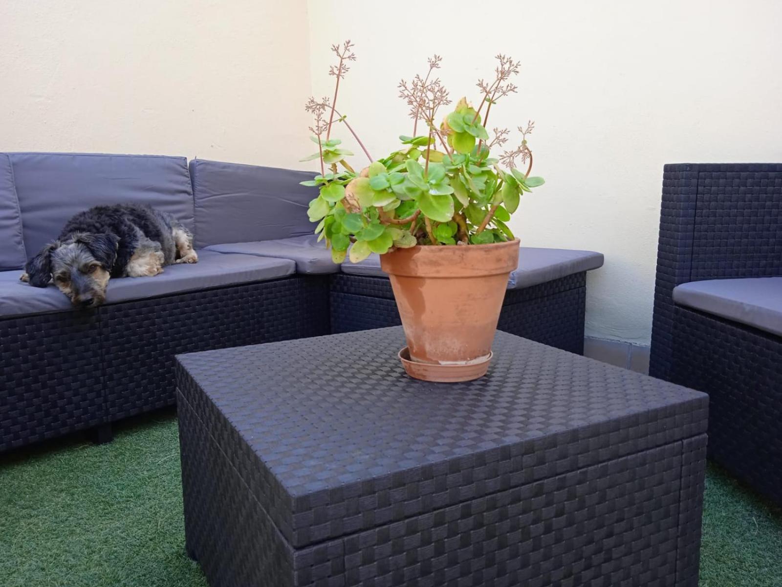 Livingtarifa Apartamento Nano Exteriér fotografie